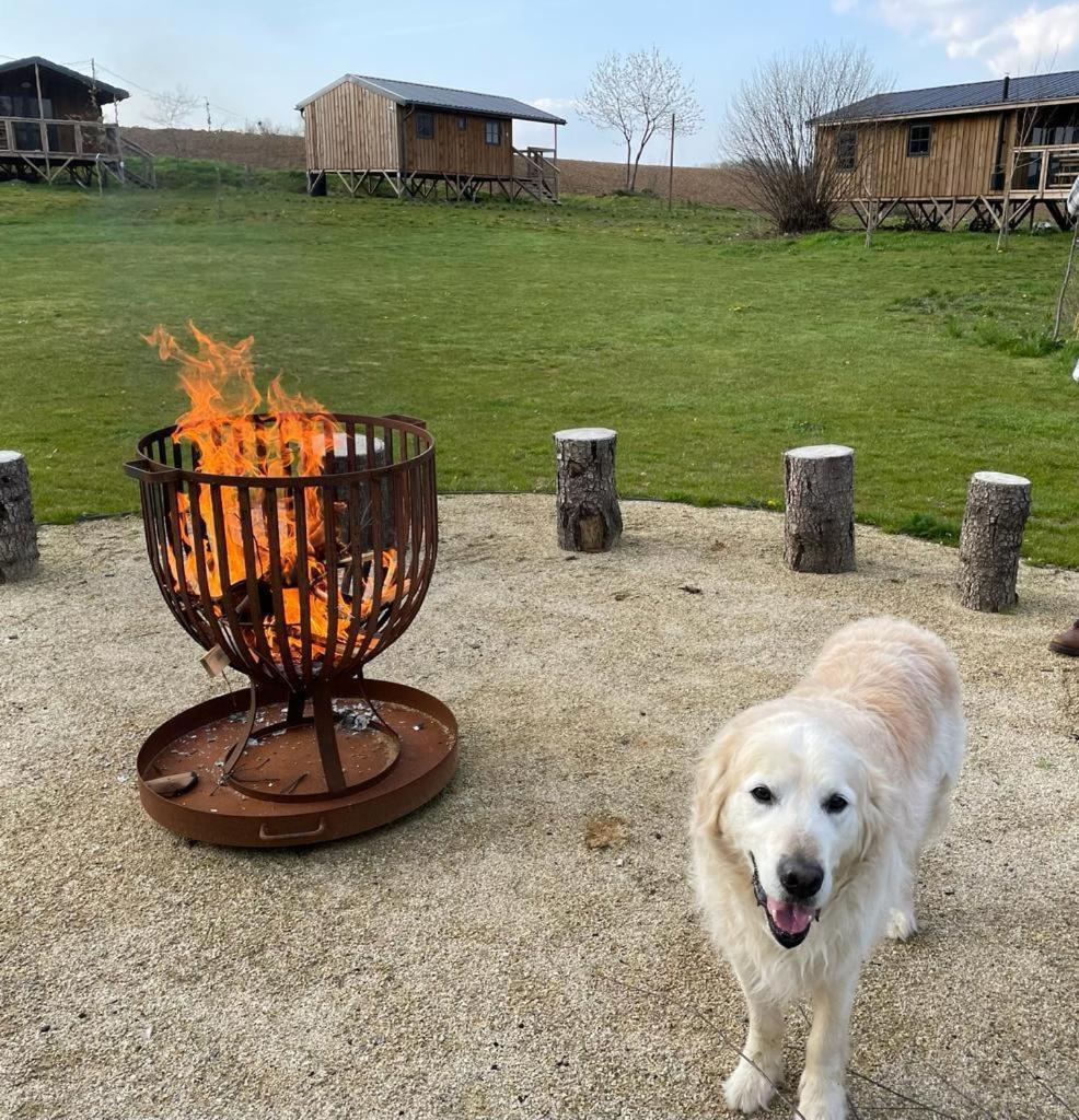 Lodge Ecau - Insolite A 30km De Pairi Daiza Écaussinnes-dʼEnghien